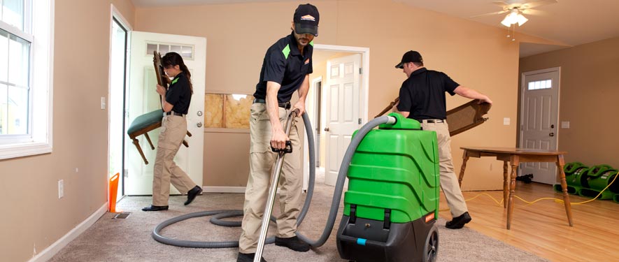 Rochester Hills, MI cleaning services